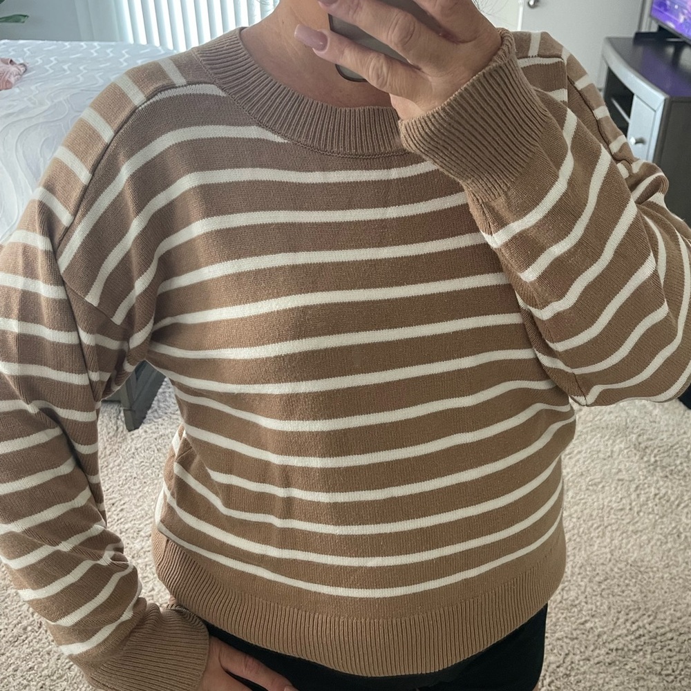 Truth Brown and White Crew Neck Sweater with Stripes